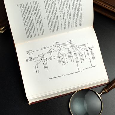 Иллюстрации в книге фото