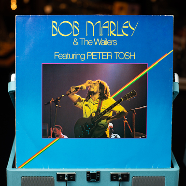 Купить виниловую пластинку Bob Marley фото