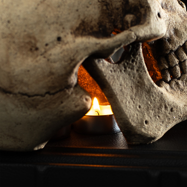 Skull candlestick photo