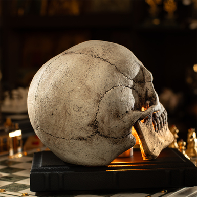Clay skull photo