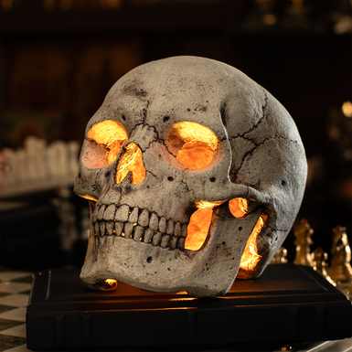 Elite skull photo