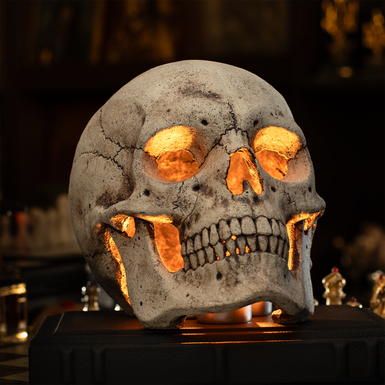 Exclusive skull photo