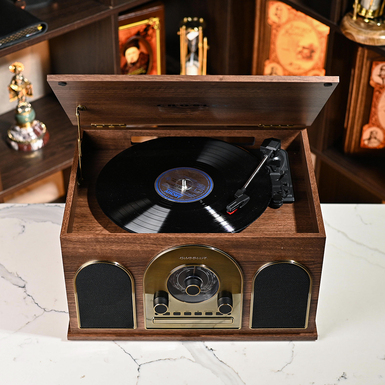 Купити вініловий програвач Hayes 8-In-1 Record Player фото 1