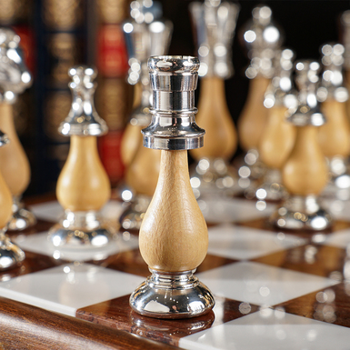 Knight and pawn photo
