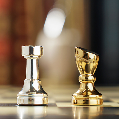 Knight and pawn photo