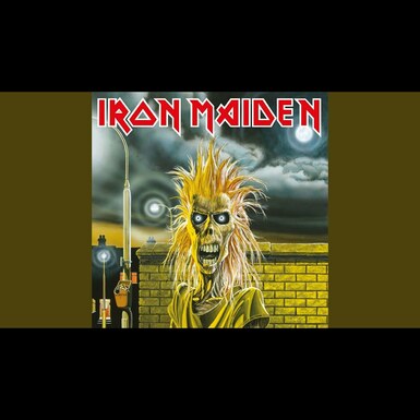 Iron Maiden платівка відео