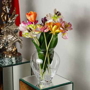 DSC07884.jpg