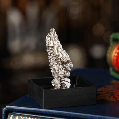 photo of a rare meteorite