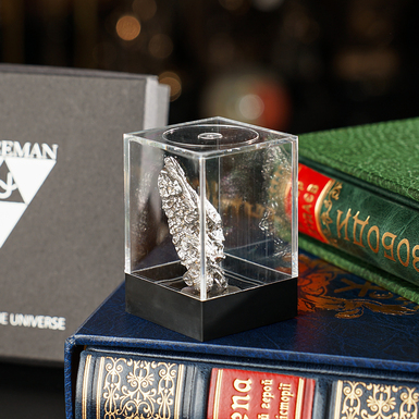 photo of a meteorite on a stand