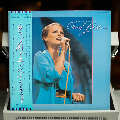 вініл фото