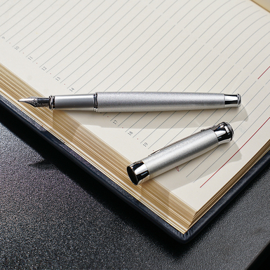 pen "Silver" photo