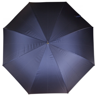 Синя парасолька вид зверху