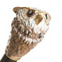 handle-shaped owl