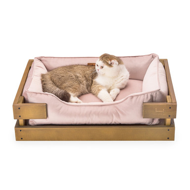 cat bed