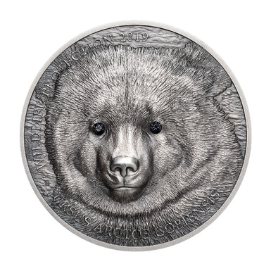Монета с медведем 