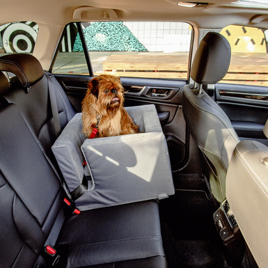 Автомобильное кресло для собак Discovery купить в Украине в онлайн магазине