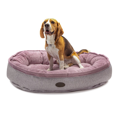 oval Donut lounger for medium and large dogs buy in Ukraine