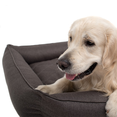 Лежак для собак Sofa Gray