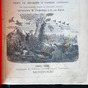 A rare book "Hunting hunting secrets of shooting game for sure. A full course of bird hunting" - buy 