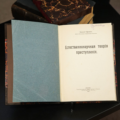 Раритетная книга "Природа преступления", Ефимов Е., 1914 г, Москва - купить в интернет 