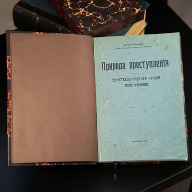 Раритетная книга "Природа преступления", Ефимов Е., 1914 г, Москва - купить в интернет магазине 