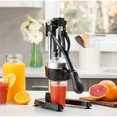 Zuley juicer - buy in the online gift store 