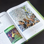 Подарункова книга «1000 кращих футбольних клубів світу» в футлярі 