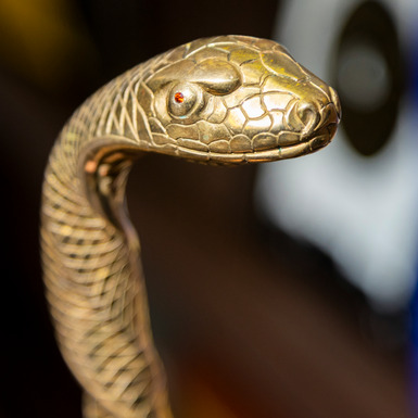 бронзовая змея