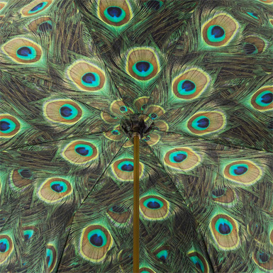 Эксклюзивный женский зонт «Peacock»  от Pasotti - купить в интернет 