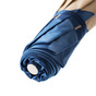 Оригінальна парасолька «Blue Dahlia» від Pasotti 