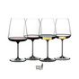 A set of glasses for tasting WINEWINGS from Riedel - buy in the online gift store