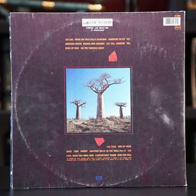 Виниловая пластинка Pink Floyd “Delicate sound of thunder” - купить в интернет 
