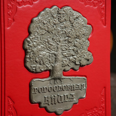 Родословная книга "Семейное древо"