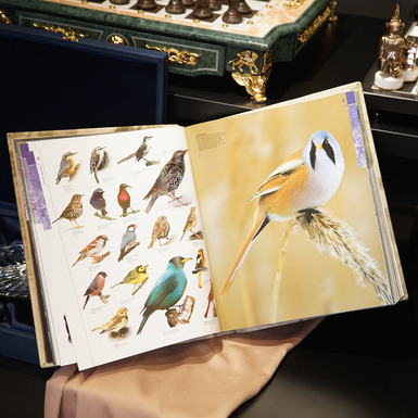 книга с иллюстрациями