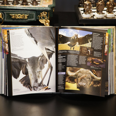 иллюстрированная энциклопедия