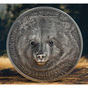 Монета з ведмедиком
