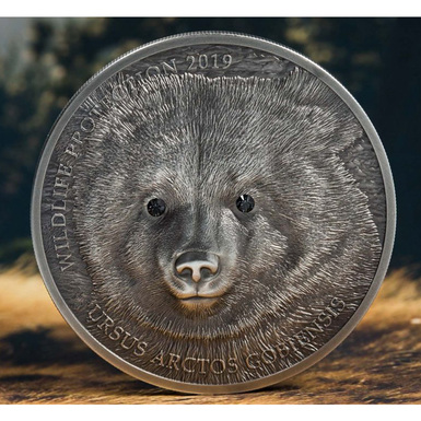 Монета з ведмедиком