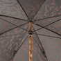 изысканный зонт