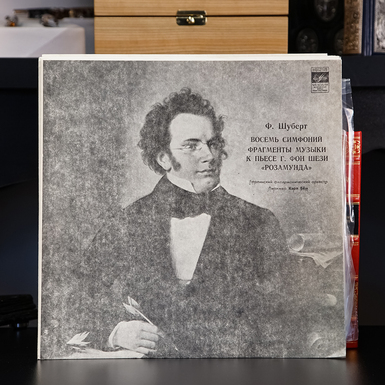 пластинка шуберта